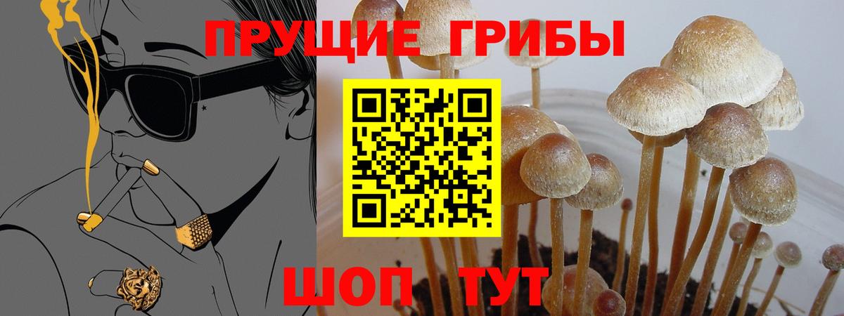Псилоцибиновые грибы прущие грибы  Вход с VPN  Дивногорск 